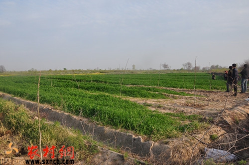 ������������d���˺��Ҙ�