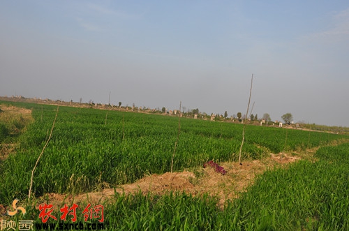 ������������d���˺��Ҙ�