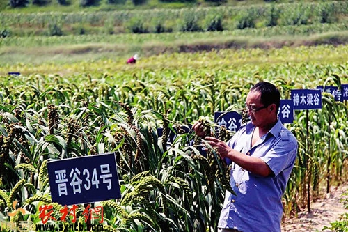 ���(y��ng)�^(q��)50�(xi��ng)���̘�(g��u)��ɽ�^(q��)Ⱥ���Ҹ��҈@