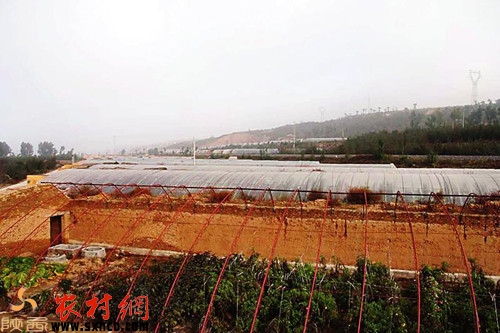 ���(y��ng)�^(q��)50�(xi��ng)���̘�(g��u)��ɽ�^(q��)Ⱥ���Ҹ��҈@