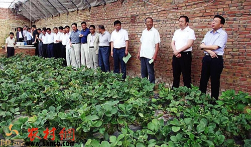 ���(y��ng)�^(q��)50�(xi��ng)���̘�(g��u)��ɽ�^(q��)Ⱥ���Ҹ��҈@