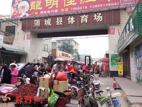 �ѳǿh�w����