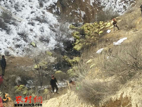 ©���c�F(xi��n)��