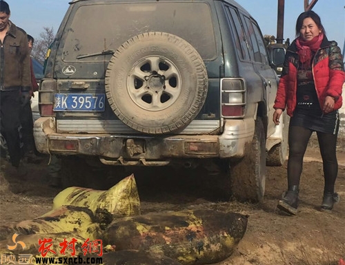 �K39576��܇�v