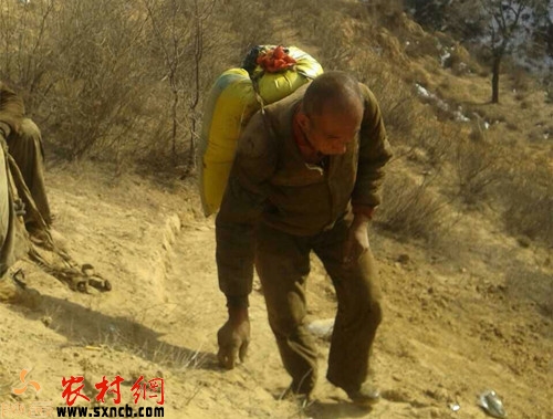 ��ԭ�͵�����