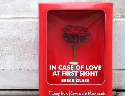 2017���˹�(ji��)��Ů��ʲô�Y�� 2017���˹�(ji��)��Ů�ѶY�����]