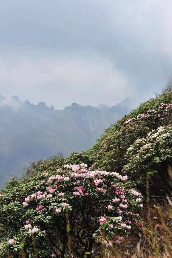 �؎X�_�µ��@8��С�(zh��n) �w�[ɽˮ�ĺ�ȥ̎��