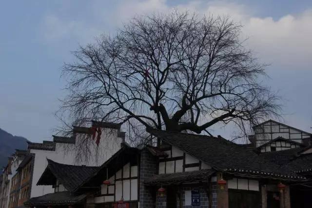 �؎X�_�µ��@8��С�(zh��n) �w�[ɽˮ�ĺ�ȥ̎��