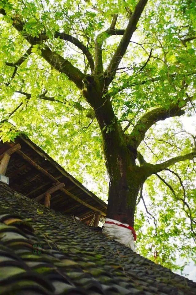 �؎X�_�µ��@8��С�(zh��n) �w�[ɽˮ�ĺ�ȥ̎��