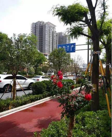 屘�^(q��)�����������������ǅ^(q��) Ԕ���M(j��n)�A֮·