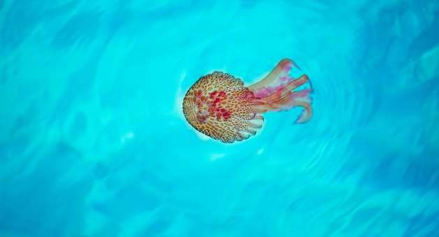 ���ҵ�ǰ�������R����(j��ng)���Z�������Ƕ�ˎ��