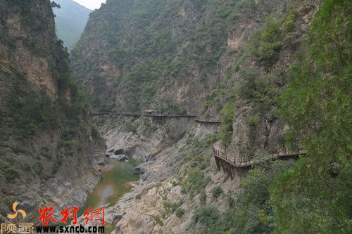 �L(zh��ng)�ȗ���