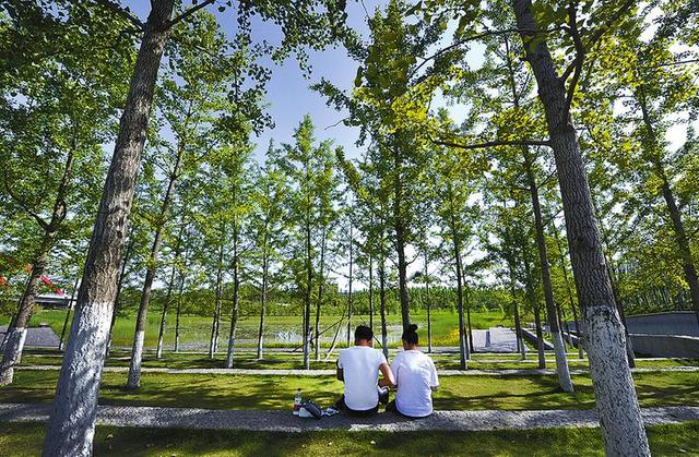 ����ׂ�(g��)�ﶬ�������Ⱦ�����������x