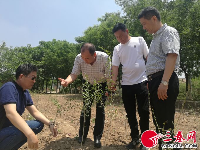 QQ�DƬ20180516201353