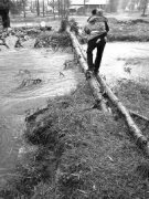 ����3����(ji��n)�ט򱻛_����������y �l(xi��ng)���������e�O�f(xi��)�{(di��o)