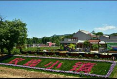 ���Ͽh����(sh��)���M(j��n)�׵ط�ؚ���w